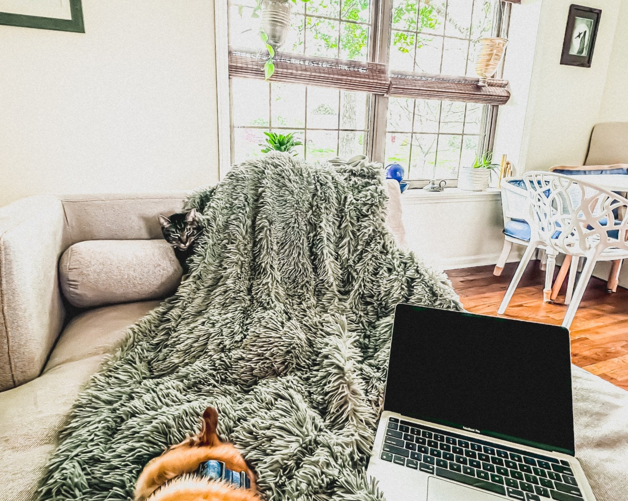 The very beginning. - CoziNests